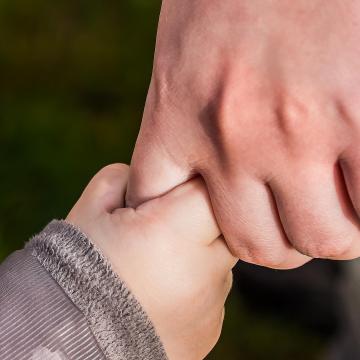 Tests bildes optimizacija