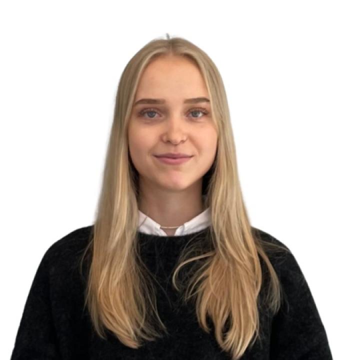 Statūtu saturs – pašu ziņā